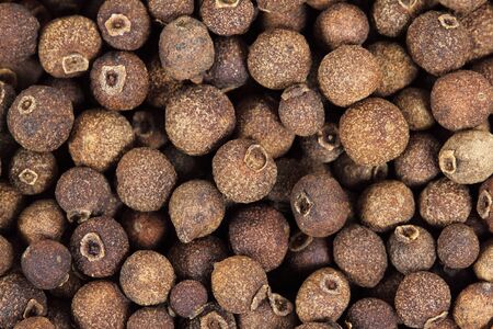 Allspice background macro studio shot. Jamaica pepper の写真素材