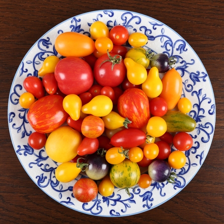 Colorful different kind tomatoes on a decorative plate.の写真素材