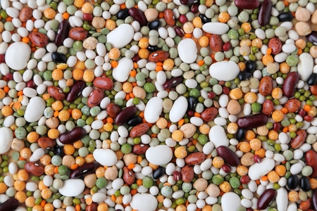 Variety of coloured beans and lentils. Food background.の写真素材
