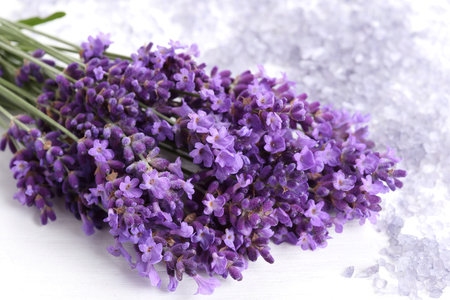 Bouquet of lavender  on a white wooden background. Lavender bath salt.の写真素材