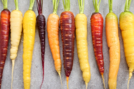 Colorful carrots on a gray ceramic background.