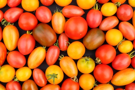 Colorful different kind tomatoes on wooden background.の写真素材