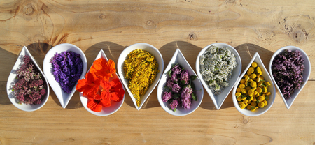 Herbs and flowers used in  natural alternative remedies in ceramic bowls on a wooden background. Top view. Flat lay.の写真素材