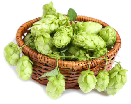 Hop cones in a wicker basket on a white background.