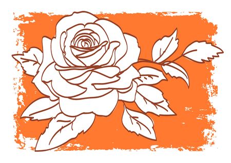 Rose vector pattern on orange and white background. Tatoo and other design. Eps 10 onlayers for your comfort.のイラスト素材
