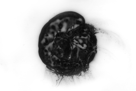 Abstract ink background. Marble style. Black paint stroke texture on white paper. Wallpaper for web and game design. Grunge mud art. Macro image of pen juice. Dark Smear.の写真素材