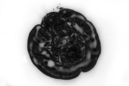 Abstract ink background. Marble style. Black paint stroke texture on white paper. Wallpaper for web and game design. Grunge mud art. Macro image of pen juice. Dark Smear.の写真素材