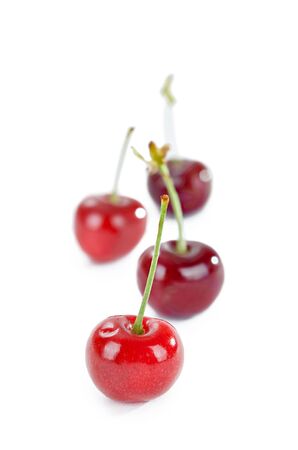 Red and black cherries on isolated white backgroundの写真素材