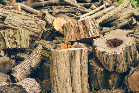Felled logs, branches and stumps are piled in a heap.