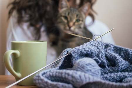 On the table is a knitting and a cup. In the background a girl and a cat.の写真素材