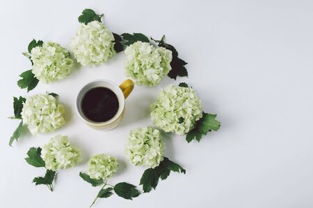 Green flowers with leaves in the form of a circle lying around the yellow Cup with coffee on white background, top viewの写真素材