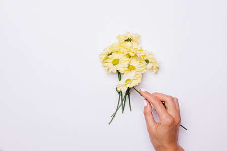 Female hand puts a bouquet of daisies on a white table, top viewの写真素材