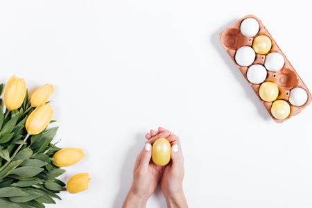 Top view of female hands holding yellow Easter egg near tulips on white backgroundの写真素材