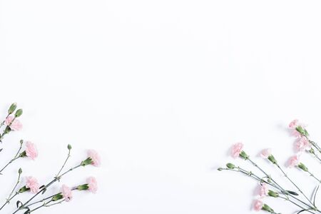 Little pink carnations on white background, place for text, top viewの写真素材