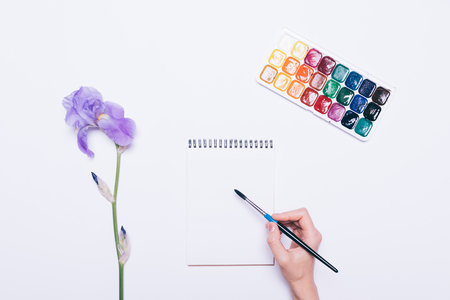Girl draws in a notebook with watercolors, top viewの写真素材