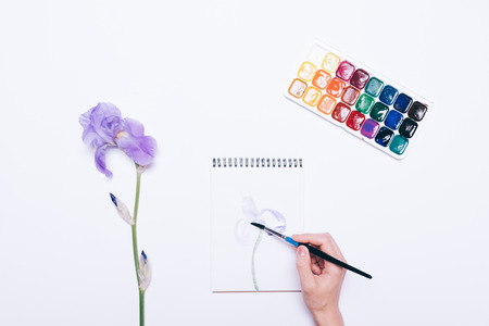 Girl draws a flower in a notebook with watercolors, top viewの写真素材