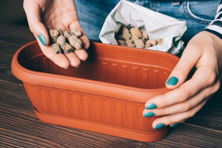 Female hands pour the soil into a plastic flower pot close-upの写真素材