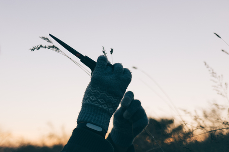 Female hands in gloves cut grass with scissors at sunsetの写真素材