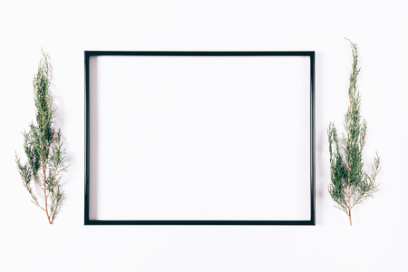 Black frame and spruce branches on a white table top viewの写真素材