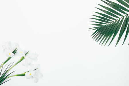 Palm branch and flowers of irises on a white table top viewの写真素材