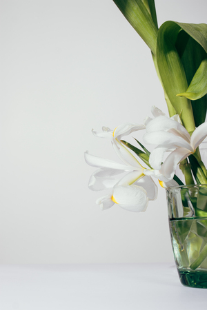 Flowers irises in a green vase on a white background, vertical croppingの写真素材