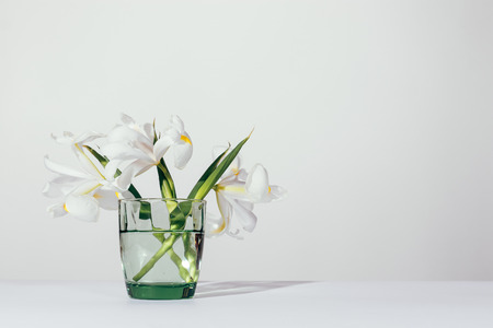 Flowers irises in a green vase on a white tableの写真素材