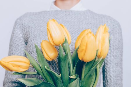 Cropped image of a bouquet of yellow tulips and a woman in a gray sweater, close-upの写真素材