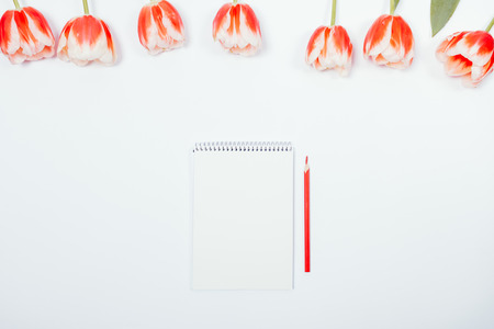 Top view of red tulips and a blank notebook with a red pencil on white background. The concept of preparing for the celebration, writing a to do list.の写真素材