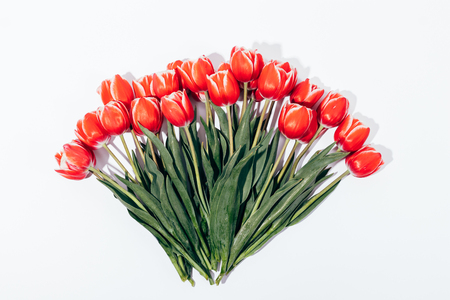 Big bouquet of red tulips on a white background top viewの写真素材