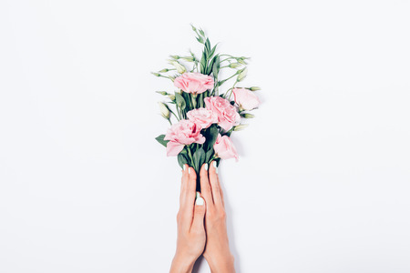 Woman's hands with trendy manicure holding bunch of pink flowers on white background, top view. Flat lay composition florist making a bouquet of beautiful blooming eustomas with green leaves.の写真素材