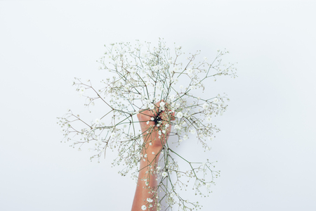 Gypsophila flowers bouquet in girl's hand on white background, top view. Flat lay minimal florist composition.の写真素材
