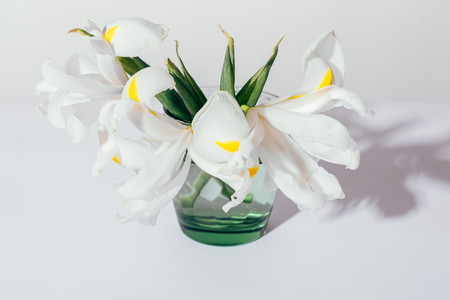 Top view of white iris flowers on table on plain light background casting shadow. Minimal...
