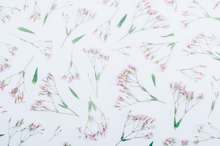Floral flat lay pattern made of pink flowers with thin stems on white background, top view.の写真素材