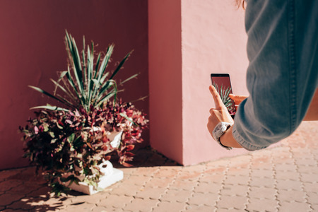 Young woman using smart phone photographing decorative flower in pot near red wall of building...