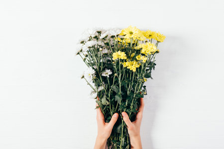 Top view woman's hands holding bouquet of daisy flowers of white and yellow colors, flat lay floral composition on wooden table.の写真素材