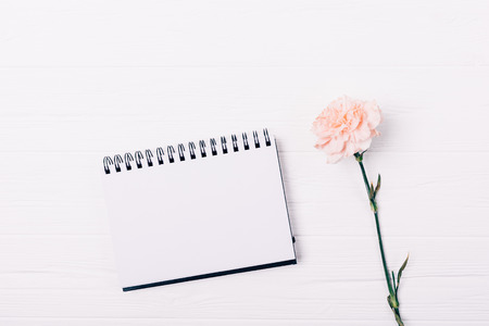 View from above at open blank notepad and pink flower on white wooden table, minimal flat lay composition.の写真素材