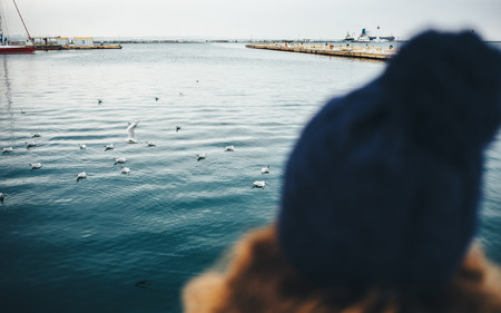 Rear view close-up head of woman wearing knitted hat looking at sea, where flock of seagulls resting.の写真素材