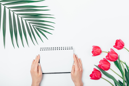 View from above woman's hands holding blank notebook near palm leaf and bouquet of tulip flowers on white desk, flat lay.の写真素材