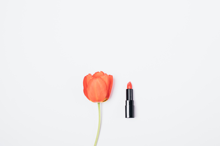 One classic red lipstick next to blooming tulip bud on white background, flat lay concept of perfect makeup accessory.の写真素材