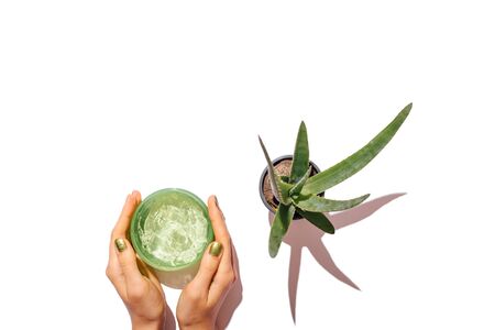 Female hands with green manicure holding container of cosmetic aloe gel next to plant growing in pot on white table, top view.の写真素材