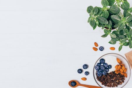 Granola with greek yogurt, blueberries and almonds on white wooden table with copy space, top view.の写真素材