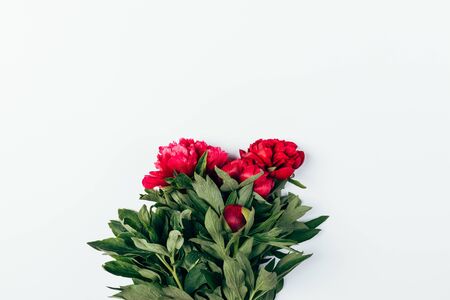 Simple freshly cut bunch of pink peony flowers with green leaves on white background with copy space, flat lay.の写真素材