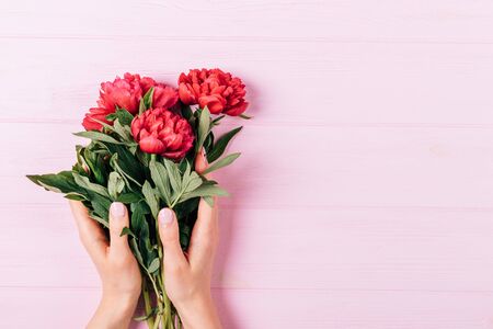 Female hands with manicure hold bouquet of fresh peony flowers on pink wooden background with copy space.の写真素材