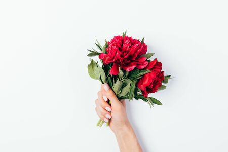 Small bouquet of lush pink peony flowers in female hand with manicure on white background, flat lay.の写真素材