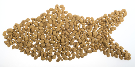 Fish of cat foodの写真素材