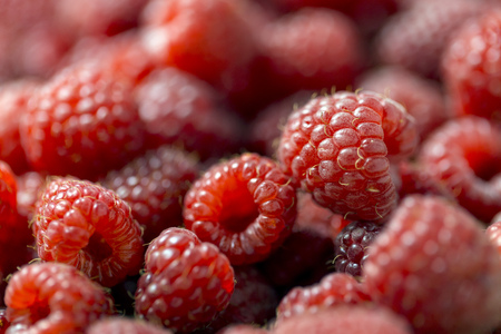 Close up view of fresh red ripe raspberries, nature vitaminsの写真素材