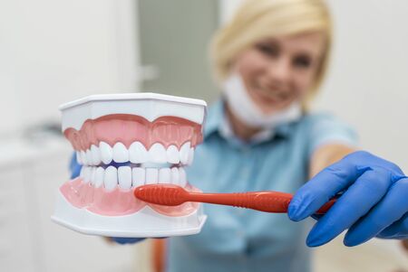 Closeup of smiling dentist showing the right way to brush teethの写真素材