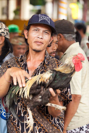 BALI - JANUARY 20. Cock fighting contest in Bali on January 20, 2012 in Bali, Indonesia. Cock fights are illegal, however are tolerated out of traditional.のeditorial素材
