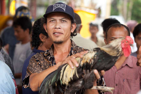 BALI - JANUARY 20. Cock fighting contest in Bali on January 20, 2012 in Bali, Indonesia. Cock fights are illegal, however are tolerated out of traditional.のeditorial素材