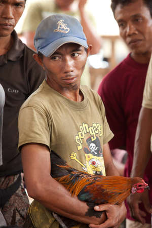 BALI - JANUARY 20. Cock fighting contest in Bali on January 20, 2012 in Bali, Indonesia. Cock fights are illegal, however are tolerated out of traditional.のeditorial素材